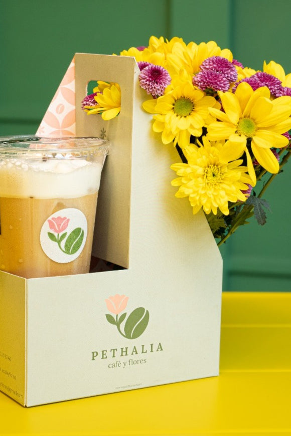 Set Pethalia